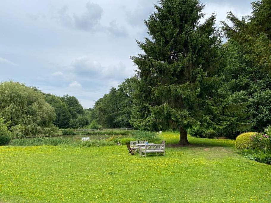 Halfmoon Lodge @ Knights Hole Wheelchair Access Cranbrook Zewnętrze zdjęcie