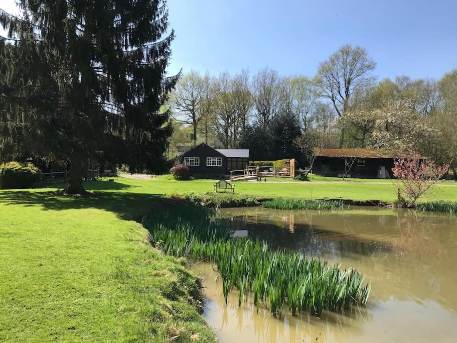 Halfmoon Lodge @ Knights Hole Wheelchair Access Cranbrook Zewnętrze zdjęcie